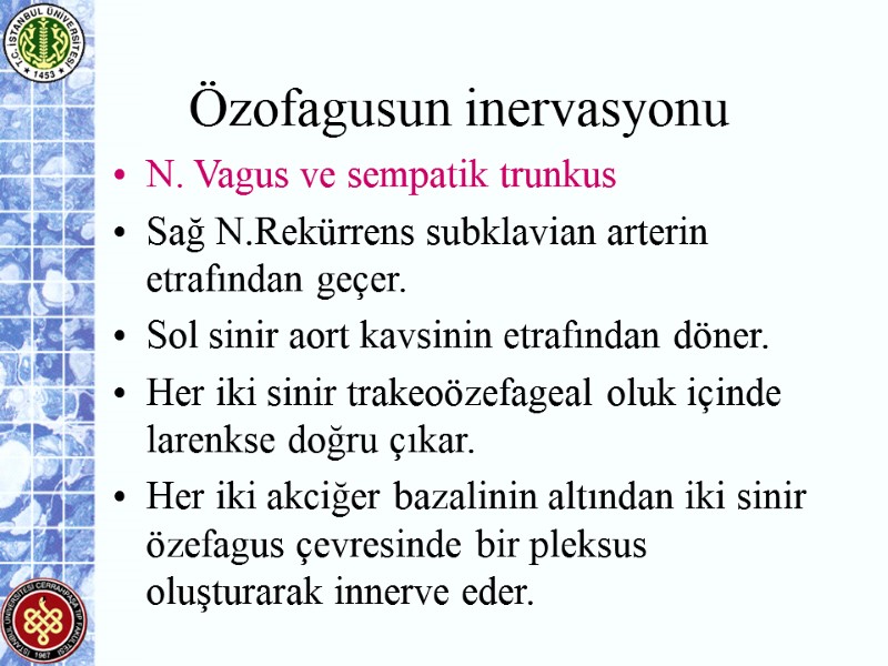 Özofagusun inervasyonu N. Vagus ve sempatik trunkus Sağ N.Rekürrens subklavian arterin etrafından geçer. Sol